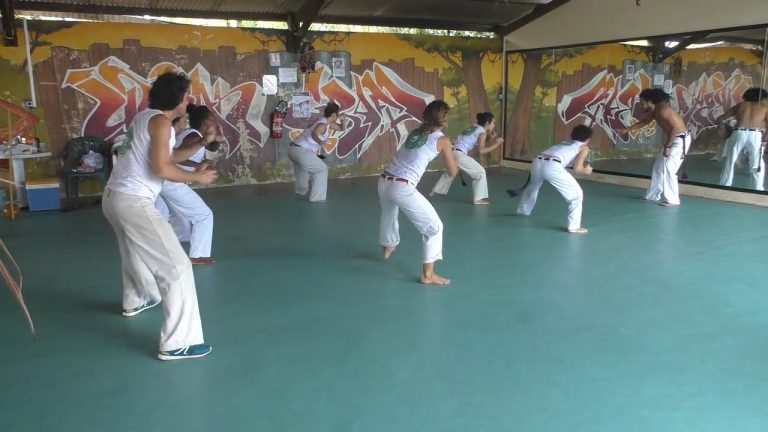 Stage de Capoeira au Carbet des Associations