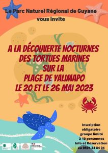 A la découverte des tortues marines les 20 et 26 mai