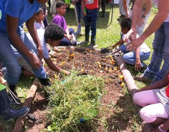 Création d’un abattis pédagogique à l’école du village de Prospérité