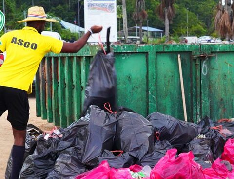 Green Days Beach : Une journée de mobilisation pour ramasser les déchets