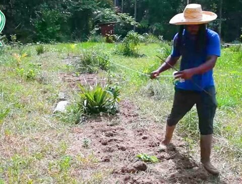 Ce projet consiste à permettre aux jeunes de l’Ouest guyanais de (re)découvrir le travail de la terre et la connaissance des plantes.