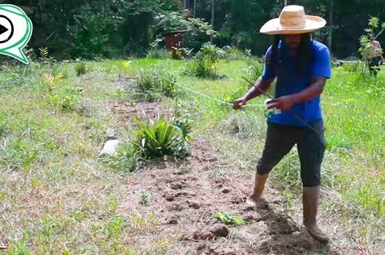 Ce projet consiste à permettre aux jeunes de l’Ouest guyanais de (re)découvrir le travail de la terre et la connaissance des plantes.