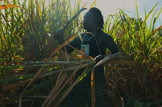Mac Giver JINGPAI est planteur de cannes à sucre dans les environs de Saint-Laurent du Maroni.