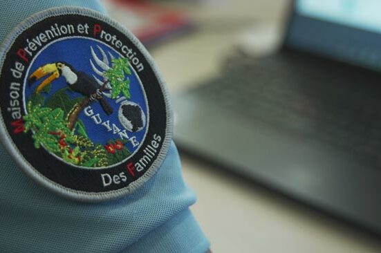 Présentation de la Maison de Protection des Familles