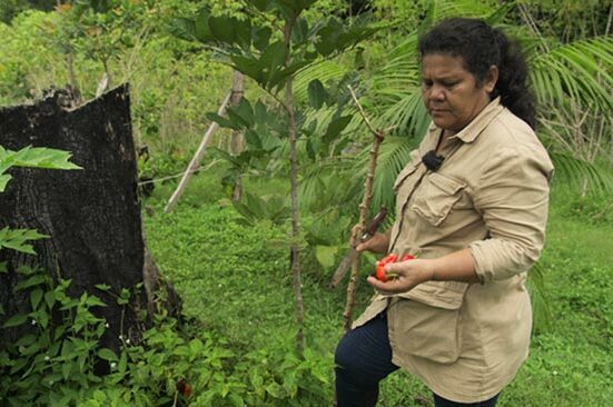Les difficultés administratives d’une “mère nourricière”
