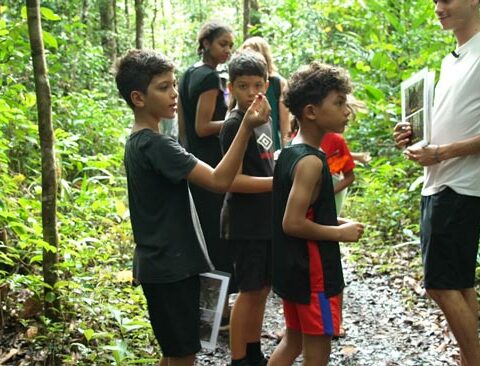 Un séjour pour mieux préserver la forêt