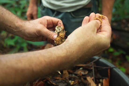 Un groupe d'une dizaine d'exploitants agricoles guyanais ont été formés à fabriquer un fertilisant agricole 100% naturel, appelé le Lifofer.