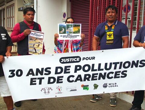 6 associations et deux habitants du Haut Maroni ont assigné l’Etat français devant le tribunal administratif de Cayenne pour carence fautive dans sa lutte contre l’orpaillage illégal