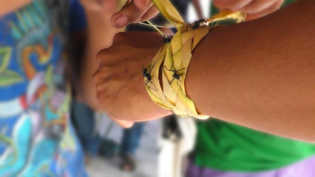 Jeunesses Autochtones : Rituel du Yuku à Awala-Yalimapo